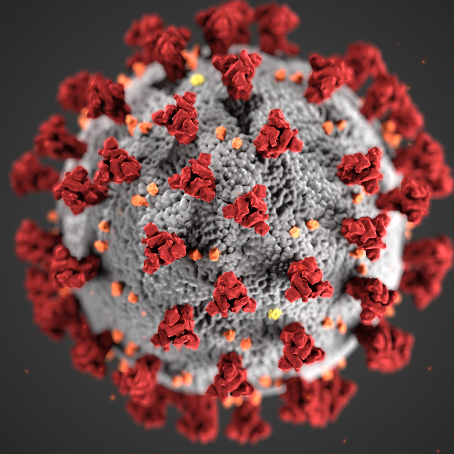 Coronavirus_3D_illustration_by_CDC_1600x900